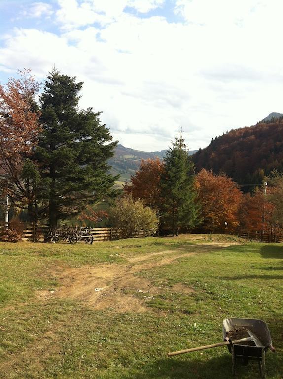 Veresko Villa Lacu Rosu Buitenkant foto