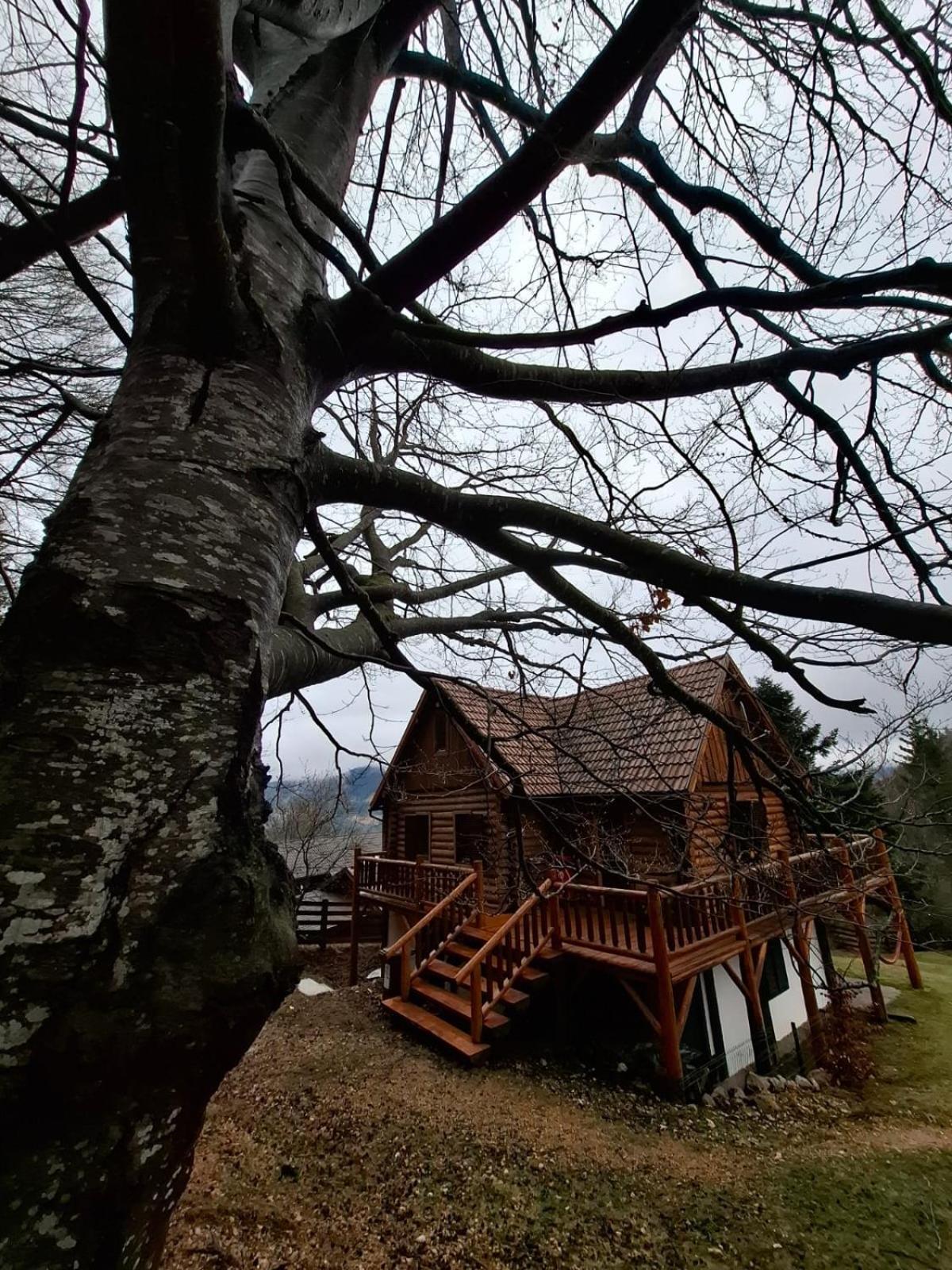 Veresko Villa Lacu Rosu Buitenkant foto